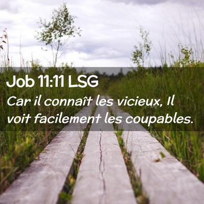 Picture 02 - Job 11:11 LSG - Car il connaît les vicieux, Il voit facilement - Bible Verse Picture