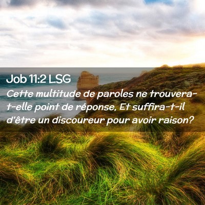 Picture 02 - Job 11:2 LSG - Cette multitude de paroles ne trouvera-t-elle - Bible Verse Picture