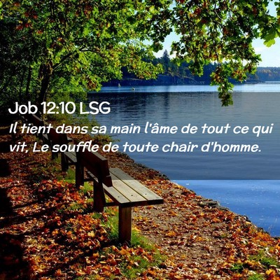Picture 02 - Job 12:10 LSG - Il tient dans sa main l'âme de tout ce qui vit, - Bible Verse Picture