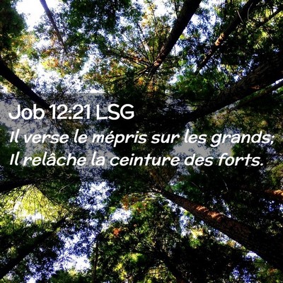 Picture 02 - Job 12:21 LSG - Il verse le mépris sur les grands; Il relâche - Bible Verse Picture