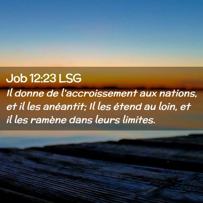 Picture 02 - Job 12:23 LSG - Il donne de l'accroissement aux nations, et il - Bible Verse Picture