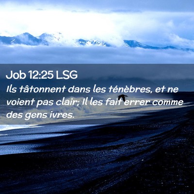 Picture 02 - Job 12:25 LSG - Ils tâtonnent dans les ténèbres, et ne voient - Bible Verse Picture