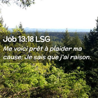 Picture 02 - Job 13:18 LSG - Me voici prêt à plaider ma cause; Je sais que - Bible Verse Picture