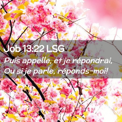Picture 02 - Job 13:22 LSG - Puis appelle, et je répondrai, Ou si je parle, - Bible Verse Picture