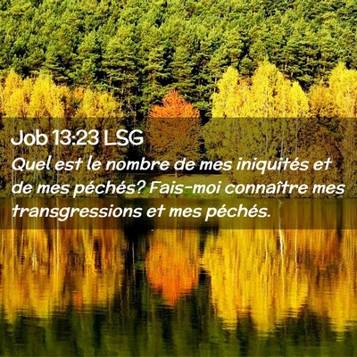 Picture 02 - Job 13:23 LSG - Quel est le nombre de mes iniquités et de mes - Bible Verse Picture