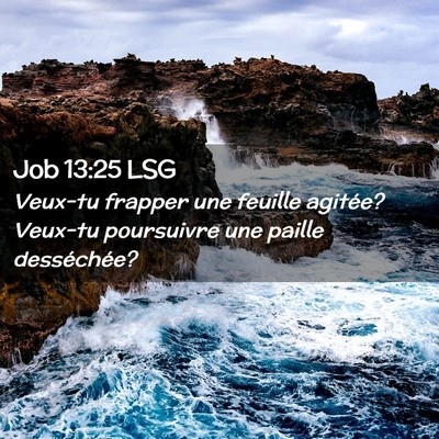 Picture 02 - Job 13:25 LSG - Veux-tu frapper une feuille agitée? Veux-tu - Bible Verse Picture