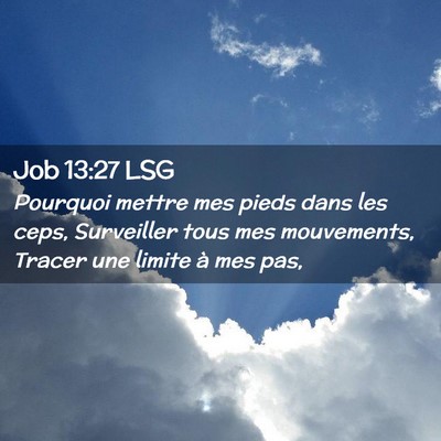 Picture 02 - Job 13:27 LSG - Pourquoi mettre mes pieds dans les ceps, - Bible Verse Picture
