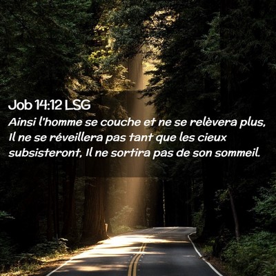 Picture 02 - Job 14:12 LSG - Ainsi l'homme se couche et ne se relèvera plus, - Bible Verse Picture