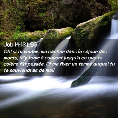 Picture 02 - Job 14:13 LSG - Oh! si tu voulais me cacher dans le séjour des - Bible Verse Picture