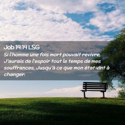 Picture 02 - Job 14:14 LSG - Si l'homme une fois mort pouvait revivre, - Bible Verse Picture