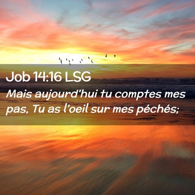 Picture 02 - Job 14:16 LSG - Mais aujourd'hui tu comptes mes pas, Tu as l'oeil - Bible Verse Picture