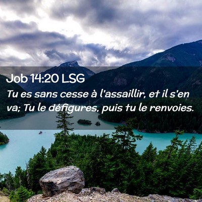 Picture 02 - Job 14:20 LSG - Tu es sans cesse à l'assaillir, et il s'en va; - Bible Verse Picture