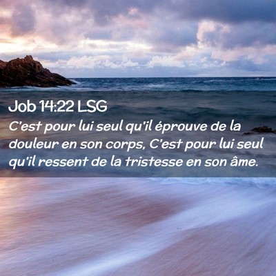 Picture 02 - Job 14:22 LSG - C'est pour lui seul qu'il éprouve de la douleur - Bible Verse Picture
