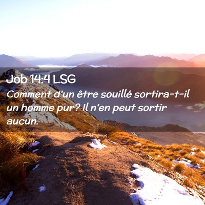 Picture 02 - Job 14:4 LSG - Comment d'un être souillé sortira-t-il un homme - Bible Verse Picture