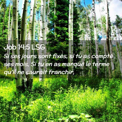 Picture 02 - Job 14:5 LSG - Si ses jours sont fixés, si tu as compté ses - Bible Verse Picture