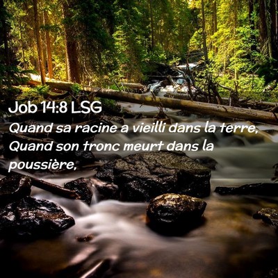 Picture 02 - Job 14:8 LSG - Quand sa racine a vieilli dans la terre, Quand - Bible Verse Picture