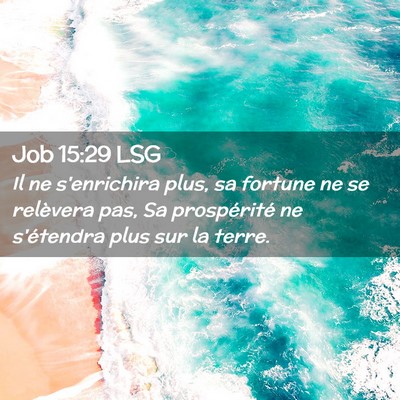 Picture 02 - Job 15:29 LSG - Il ne s'enrichira plus, sa fortune ne se - Bible Verse Picture