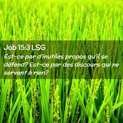 Picture 02 - Job 15:3 LSG - Est-ce par d'inutiles propos qu'il se défend? - Bible Verse Picture