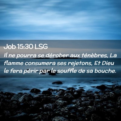 Picture 02 - Job 15:30 LSG - Il ne pourra se dérober aux ténèbres, La - Bible Verse Picture