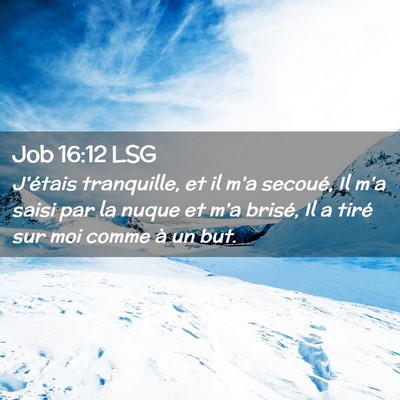 Picture 02 - Job 16:12 LSG - J'étais tranquille, et il m'a secoué, Il m'a - Bible Verse Picture