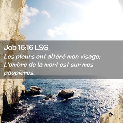 Picture 02 - Job 16:16 LSG - Les pleurs ont altéré mon visage; L'ombre de la - Bible Verse Picture