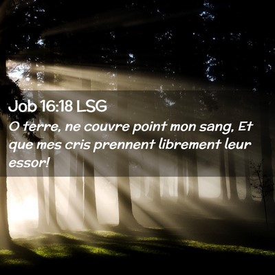 Picture 02 - Job 16:18 LSG - O terre, ne couvre point mon sang, Et que mes - Bible Verse Picture
