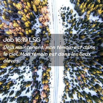 Picture 02 - Job 16:19 LSG - Déjà maintenant, mon témoin est dans le ciel, - Bible Verse Picture