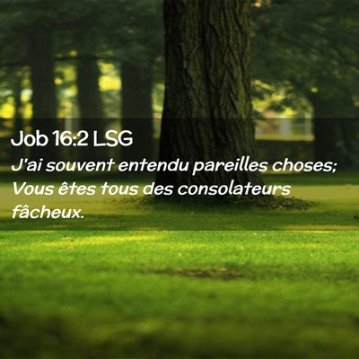 Picture 02 - Job 16:2 LSG - J'ai souvent entendu pareilles choses; Vous êtes - Bible Verse Picture