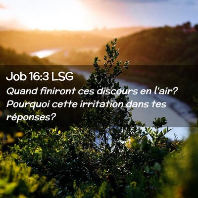 Picture 02 - Job 16:3 LSG - Quand finiront ces discours en l'air? Pourquoi - Bible Verse Picture
