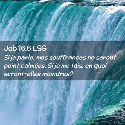 Picture 02 - Job 16:6 LSG - Si je parle, mes souffrances ne seront point - Bible Verse Picture