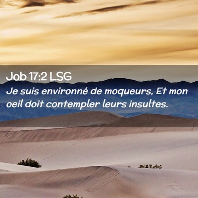 Picture 02 - Job 17:2 LSG - Je suis environné de moqueurs, Et mon oeil doit - Bible Verse Picture