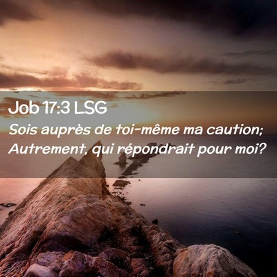 Picture 02 - Job 17:3 LSG - Sois auprès de toi-même ma caution; Autrement, - Bible Verse Picture