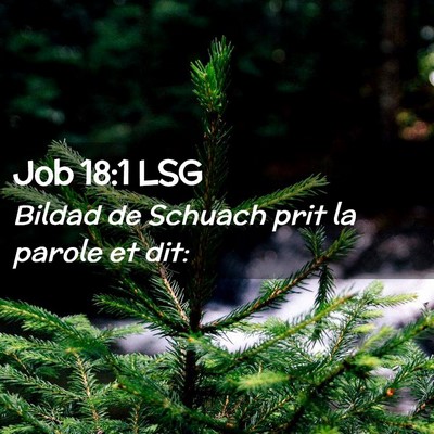 Picture 02 - Job 18:1 LSG - Bildad de Schuach prit la parole et - Bible Verse Picture