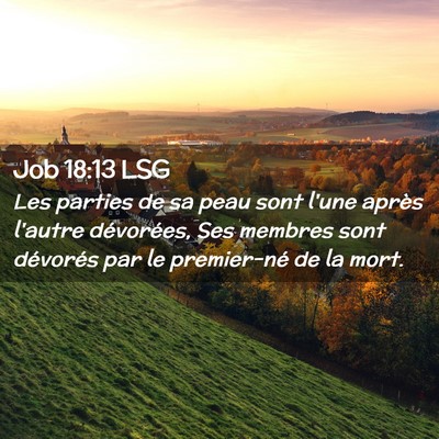 Picture 02 - Job 18:13 LSG - Les parties de sa peau sont l'une après l'autre - Bible Verse Picture