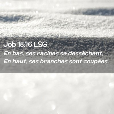 Picture 02 - Job 18:16 LSG - En bas, ses racines se dessèchent; En haut, ses - Bible Verse Picture