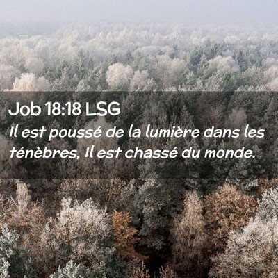 Picture 02 - Job 18:18 LSG - Il est poussé de la lumière dans les - Bible Verse Picture