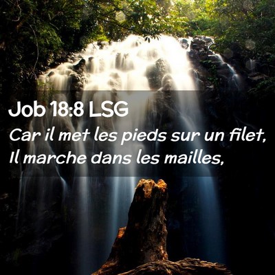 Picture 02 - Job 18:8 LSG - Car il met les pieds sur un filet, Il marche dans - Bible Verse Picture