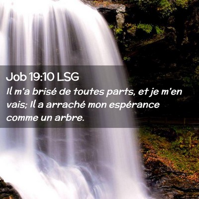 Picture 02 - Job 19:10 LSG - Il m'a brisé de toutes parts, et je m'en vais; - Bible Verse Picture