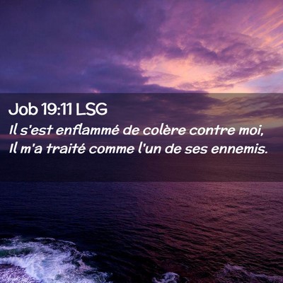 Picture 02 - Job 19:11 LSG - Il s'est enflammé de colère contre moi, Il m'a - Bible Verse Picture