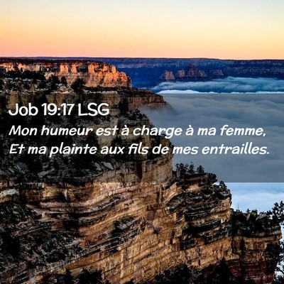 Picture 02 - Job 19:17 LSG - Mon humeur est à charge à ma femme, Et ma - Bible Verse Picture