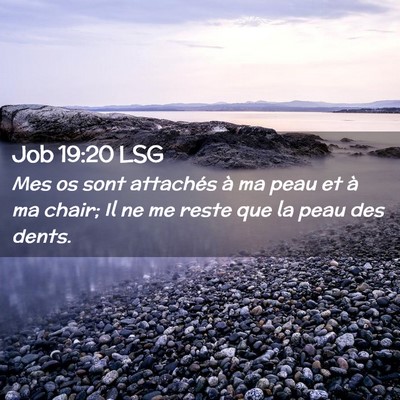 Picture 02 - Job 19:20 LSG - Mes os sont attachés à ma peau et à ma chair; - Bible Verse Picture