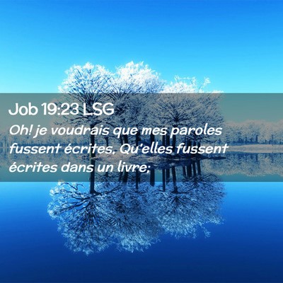 Picture 02 - Job 19:23 LSG - Oh! je voudrais que mes paroles fussent écrites, - Bible Verse Picture