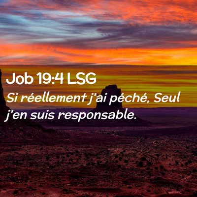 Picture 02 - Job 19:4 LSG - Si réellement j'ai péché, Seul j'en suis - Bible Verse Picture