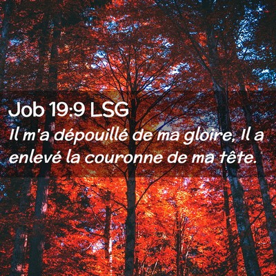 Picture 02 - Job 19:9 LSG - Il m'a dépouillé de ma gloire, Il a enlevé la - Bible Verse Picture