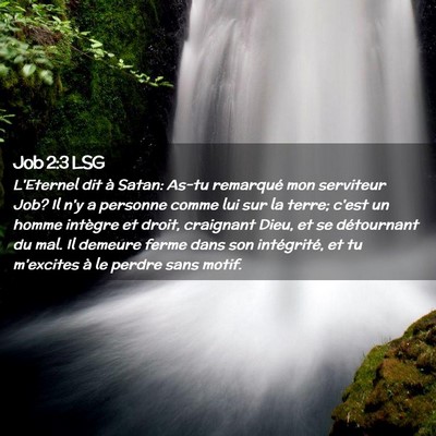 Picture 02 - Job 2:3 LSG - L'Eternel dit à Satan: As-tu remarqué mon - Bible Verse Picture