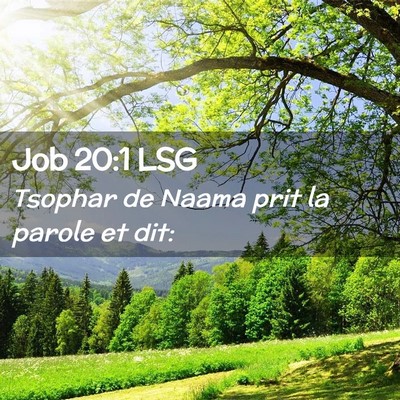 Picture 02 - Job 20:1 LSG - Tsophar de Naama prit la parole et - Bible Verse Picture