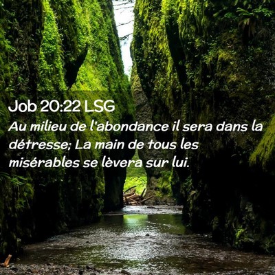Picture 02 - Job 20:22 LSG - Au milieu de l'abondance il sera dans la - Bible Verse Picture