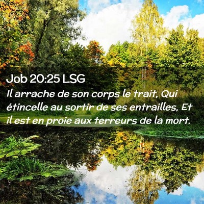 Picture 02 - Job 20:25 LSG - Il arrache de son corps le trait, Qui étincelle - Bible Verse Picture