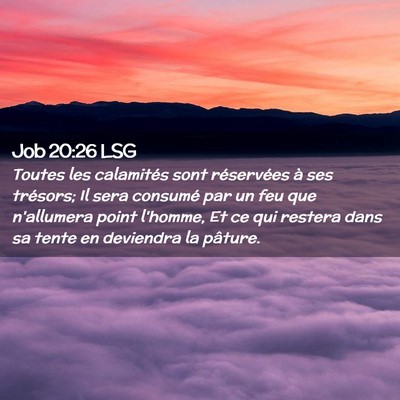 Picture 02 - Job 20:26 LSG - Toutes les calamités sont réservées à ses - Bible Verse Picture