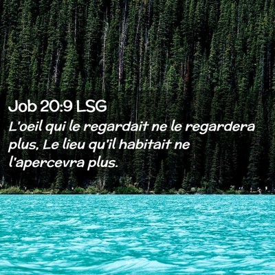 Picture 02 - Job 20:9 LSG - L'oeil qui le regardait ne le regardera plus, Le - Bible Verse Picture